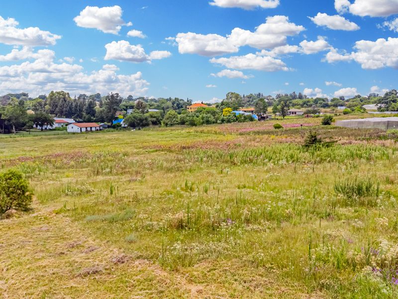 High-Yield Eco-Resource & Strategic Developer Asset - Photo 5