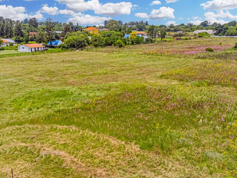 High-Yield Eco-Resource & Strategic Developer Asset - Photo 4