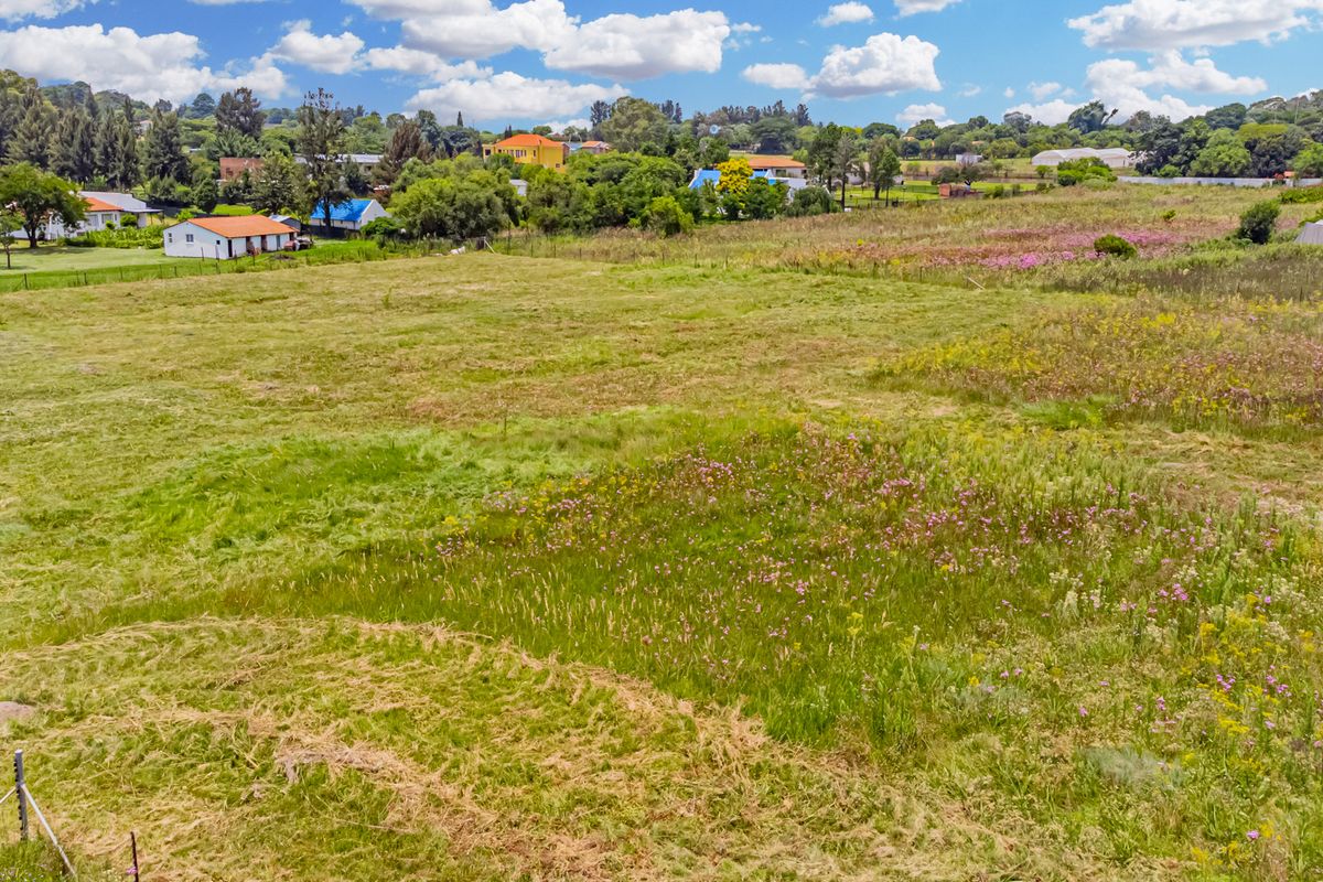 High-Yield Eco-Resource & Strategic Developer Asset - Photo 4