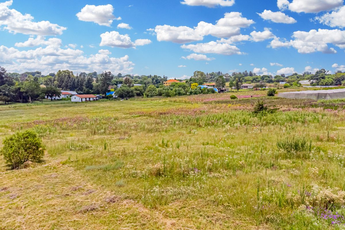 High-Yield Eco-Resource & Strategic Developer Asset - Photo 5