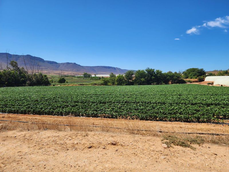 Klawer: Unique agricultural business opportunity in the Western Cape. - Photo 7