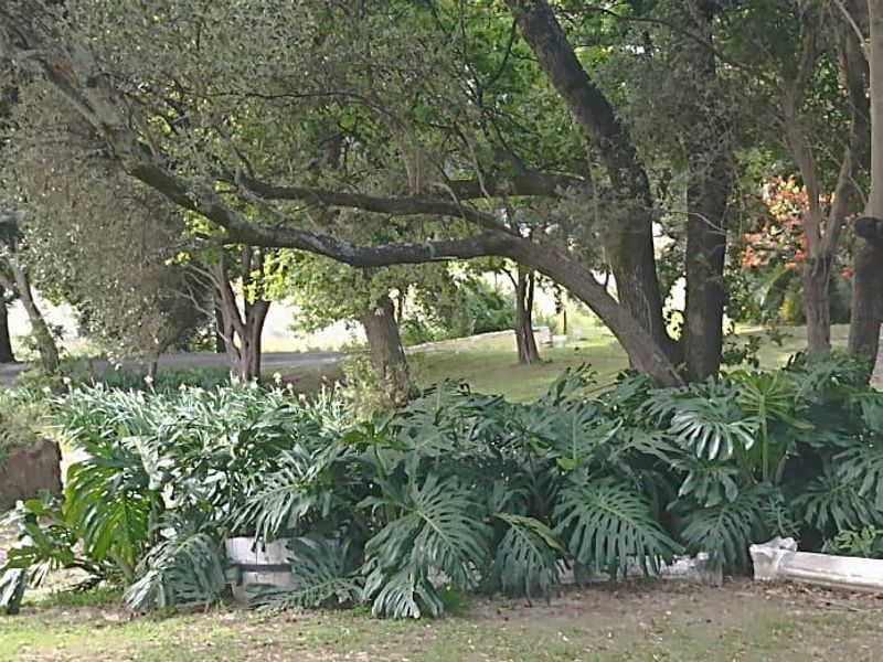 BUSINESS VIABILITY ON A FARM - Photo 9