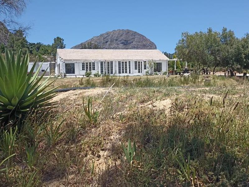 BUSINESS VIABILITY ON A FARM - Photo 10