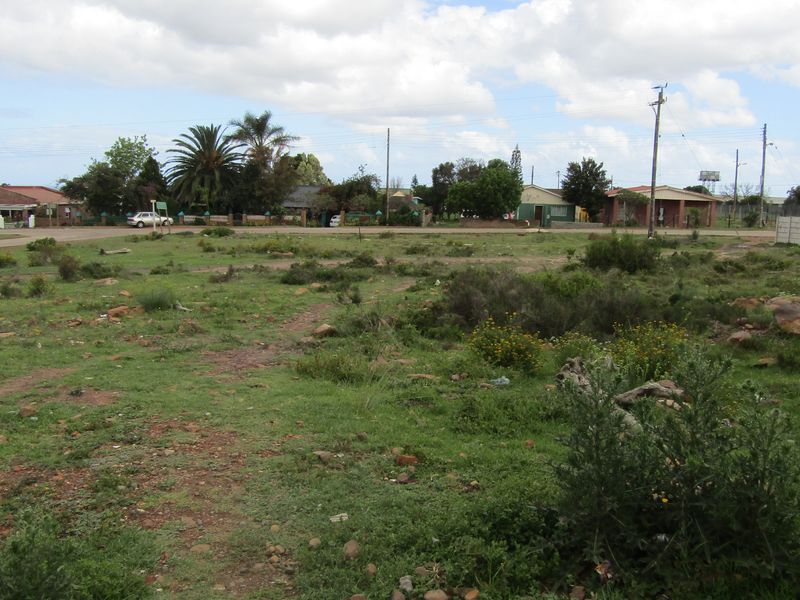 Outstanding Value! - Photo 4