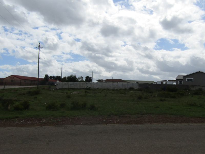 Outstanding Value! - Photo 5