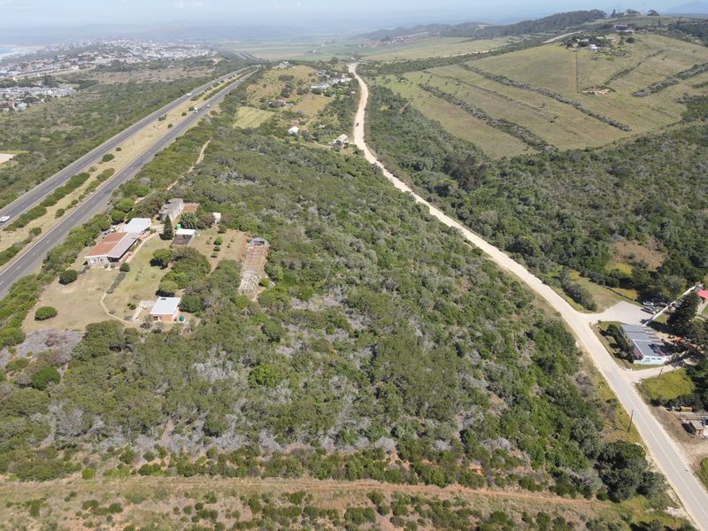 Tranquil & Sought-After 3.8ha Undeveloped Farm – A Rare Opportunity to Create Your Dream Escape - Photo 3