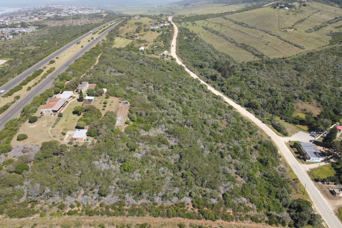 Tranquil & Sought-After 3.8ha Undeveloped Farm – A Rare Opportunity to Create Your Dream Escape - Photo 3