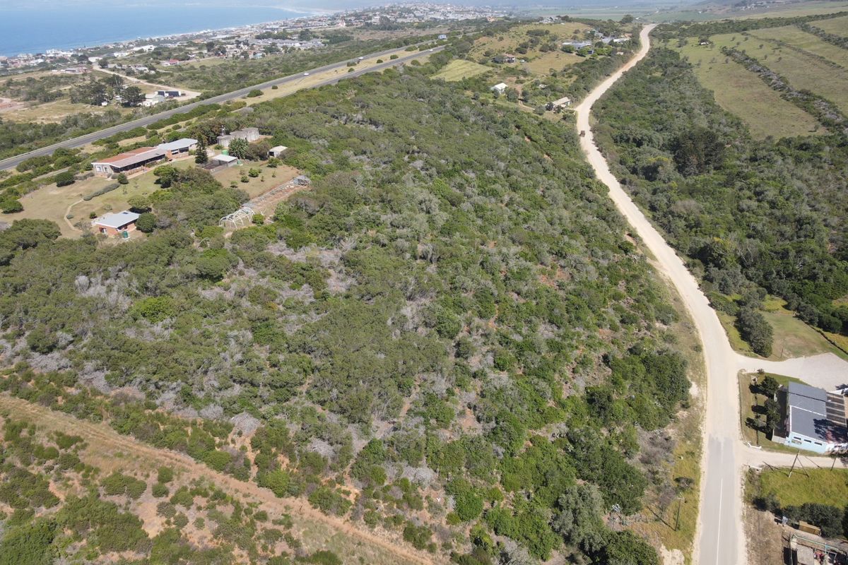 Tranquil & Sought-After 3.8ha Undeveloped Farm – A Rare Opportunity to Create Your Dream Escape - Photo 5