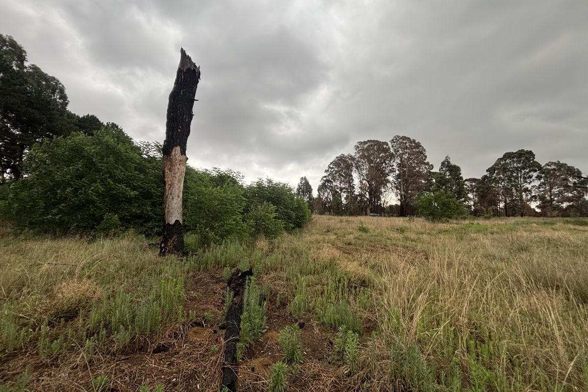 Land For Sale - Photo 4