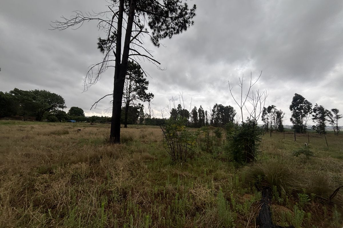 Land For Sale - Photo 5