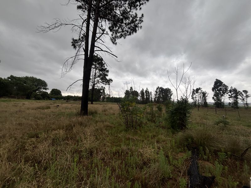 Land For Sale - Photo 5