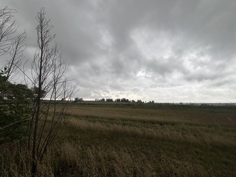 Land For Sale - Photo 10