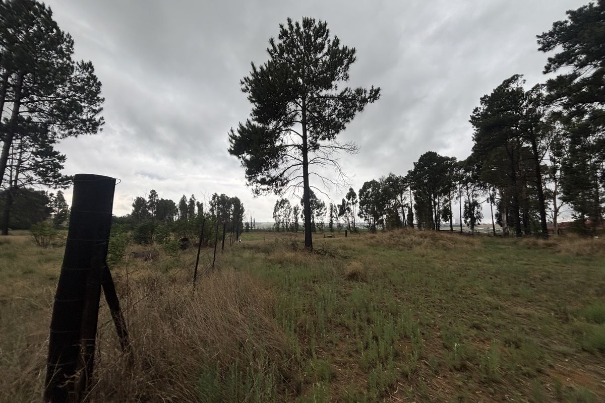 Land For Sale - Photo 3