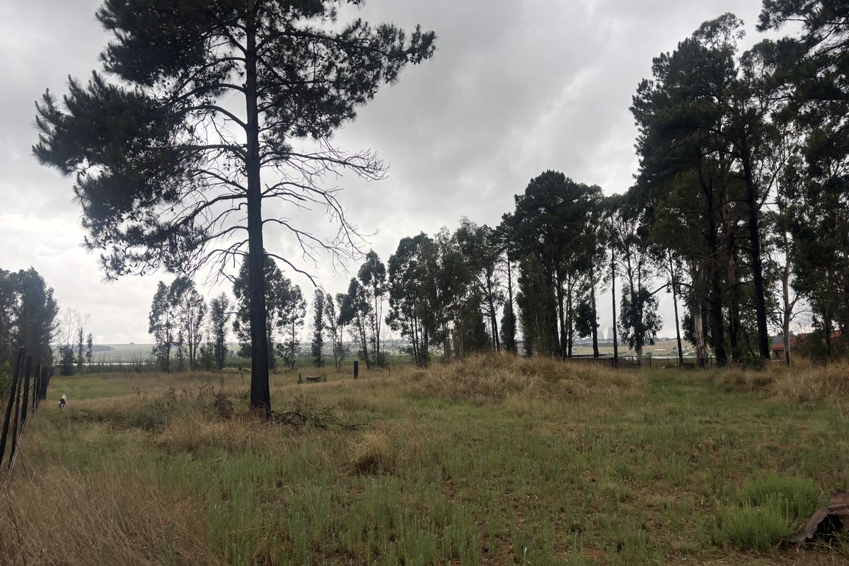 A view of a vacant residential plot featuring mature trees and natural grass coverage, suitable for future development.