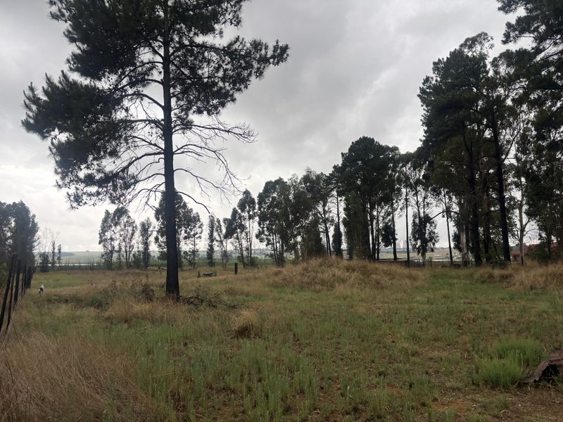 A view of a vacant residential plot featuring mature trees and natural grass coverage, suitable for future development.