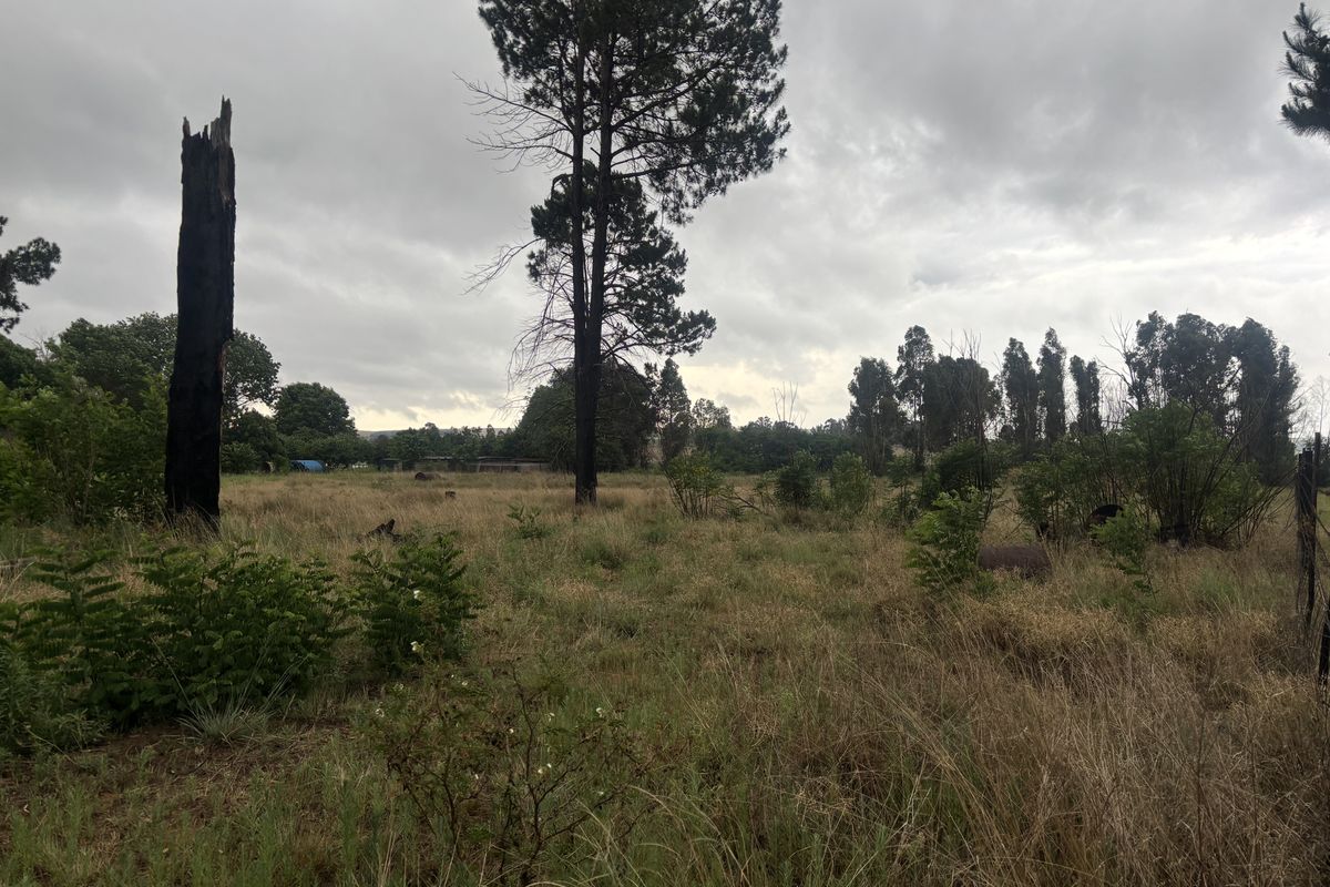 A view of a vacant residential plot featuring natural grass, scattered shrubs, and mature trees under an overcast sky.