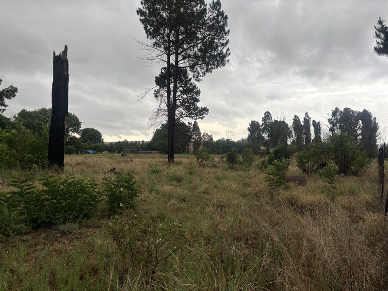 A view of a vacant residential plot featuring natural grass, scattered shrubs, and mature trees under an overcast sky.