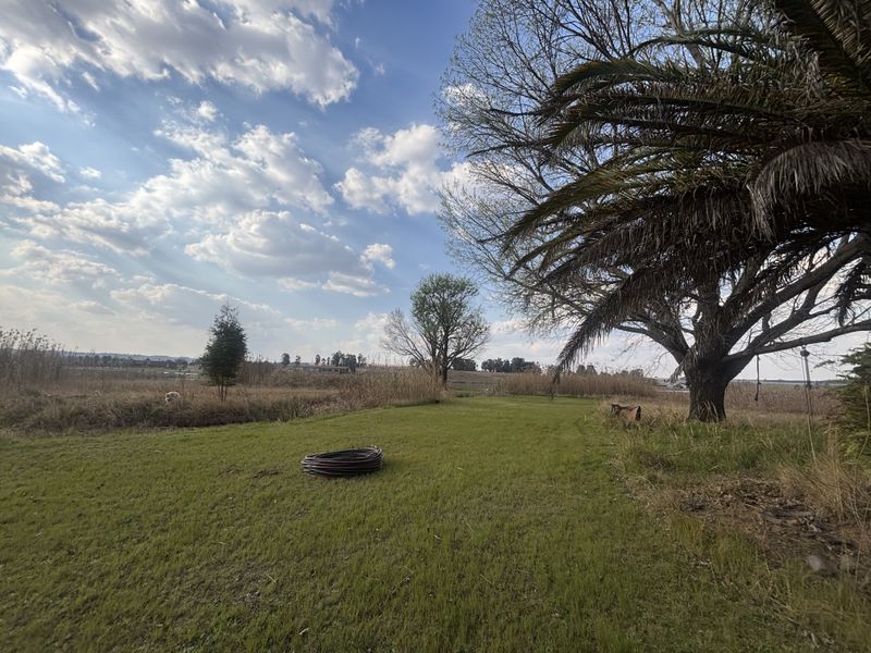 A view of a spacious residential plot featuring a grass lawn and mature trees under a blue sky.