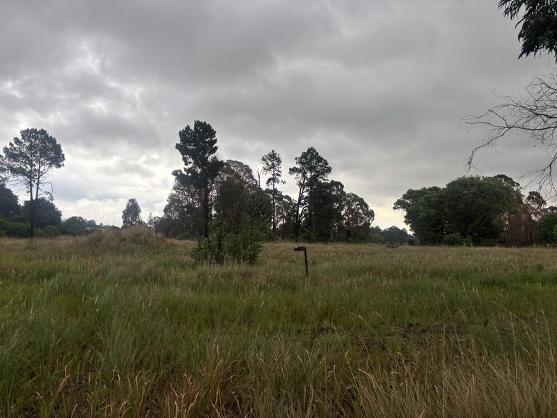 A view of a vacant residential plot featuring natural grass cover and established trees under an overcast sky.