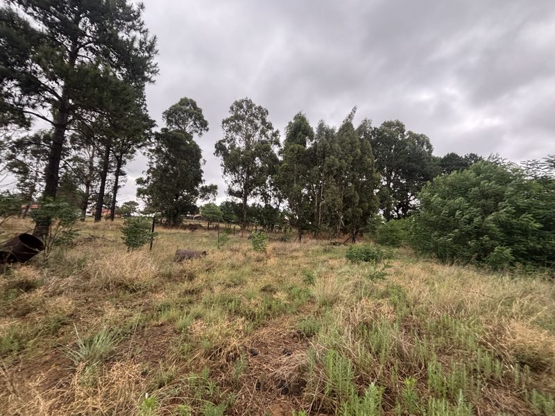 A view of the vacant residential land featuring established trees and natural grass coverage, offering a blank canvas for future development.