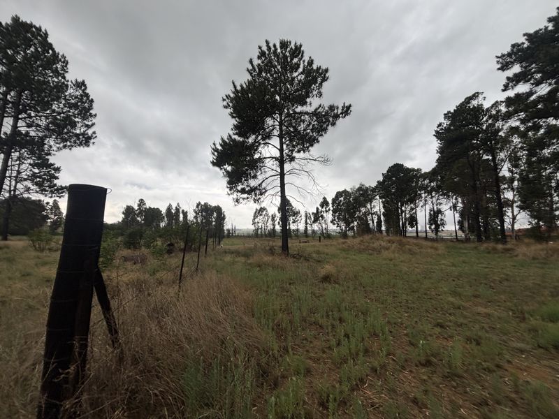 A view of a vacant residential plot featuring mature trees, natural grass cover, and existing wire boundary fencing.