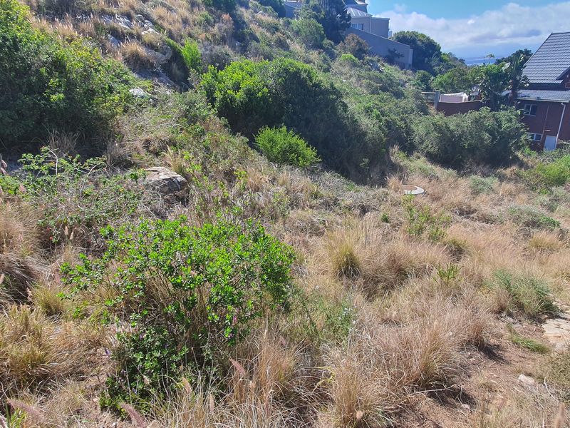 Vacant Land Residential For Sale In Mossel Bay - Photo 6