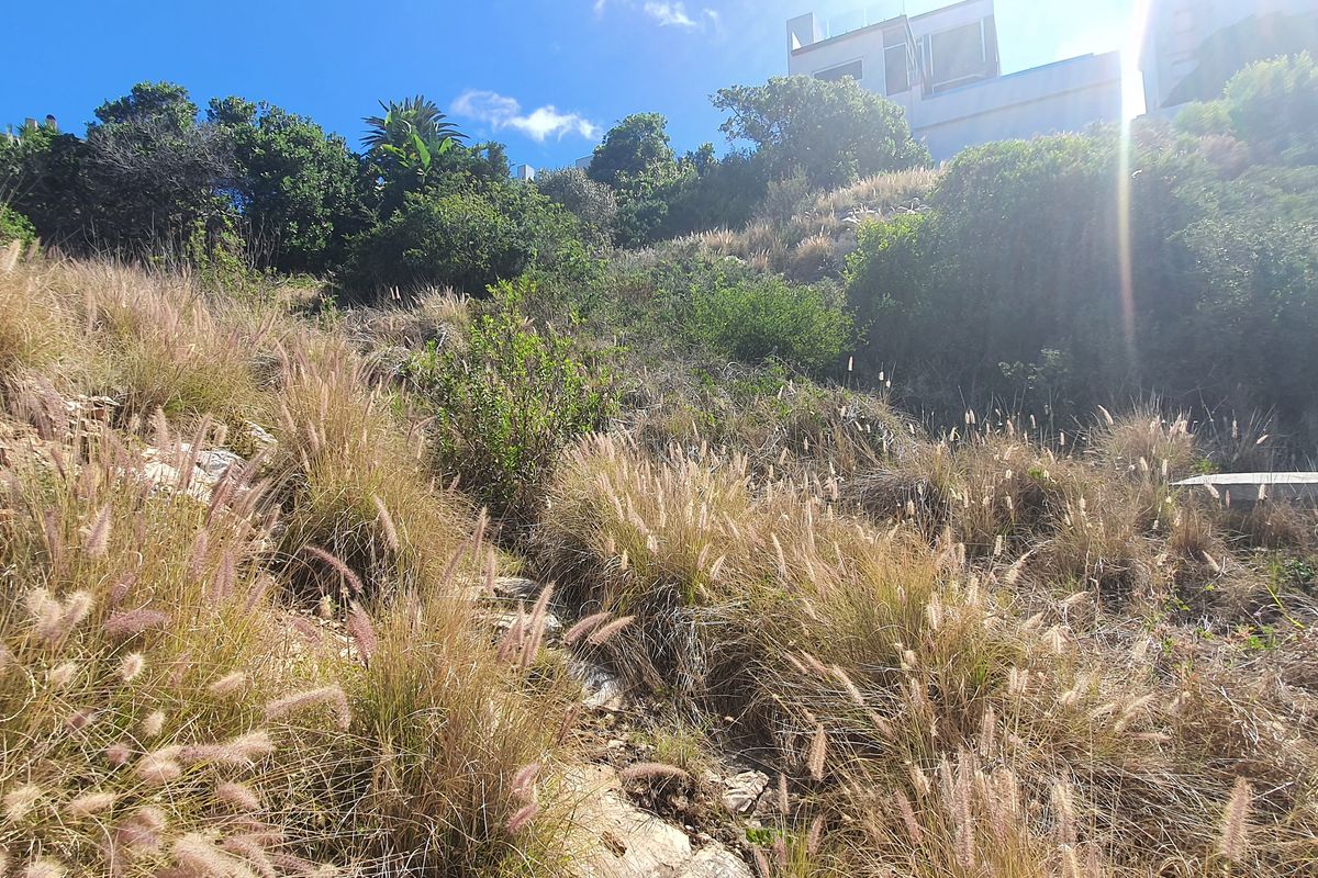 Vacant Land Residential For Sale In Mossel Bay - Photo 4