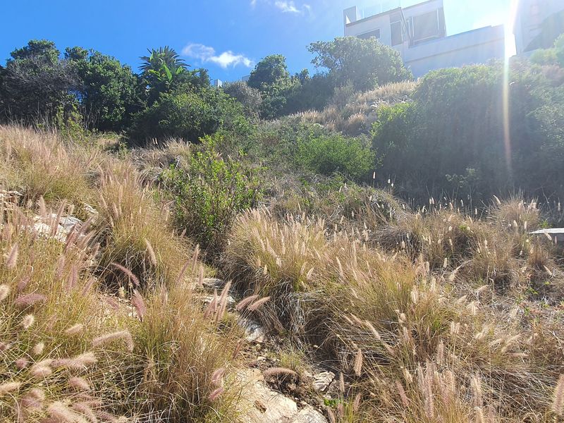 Vacant Land Residential For Sale In Mossel Bay - Photo 4