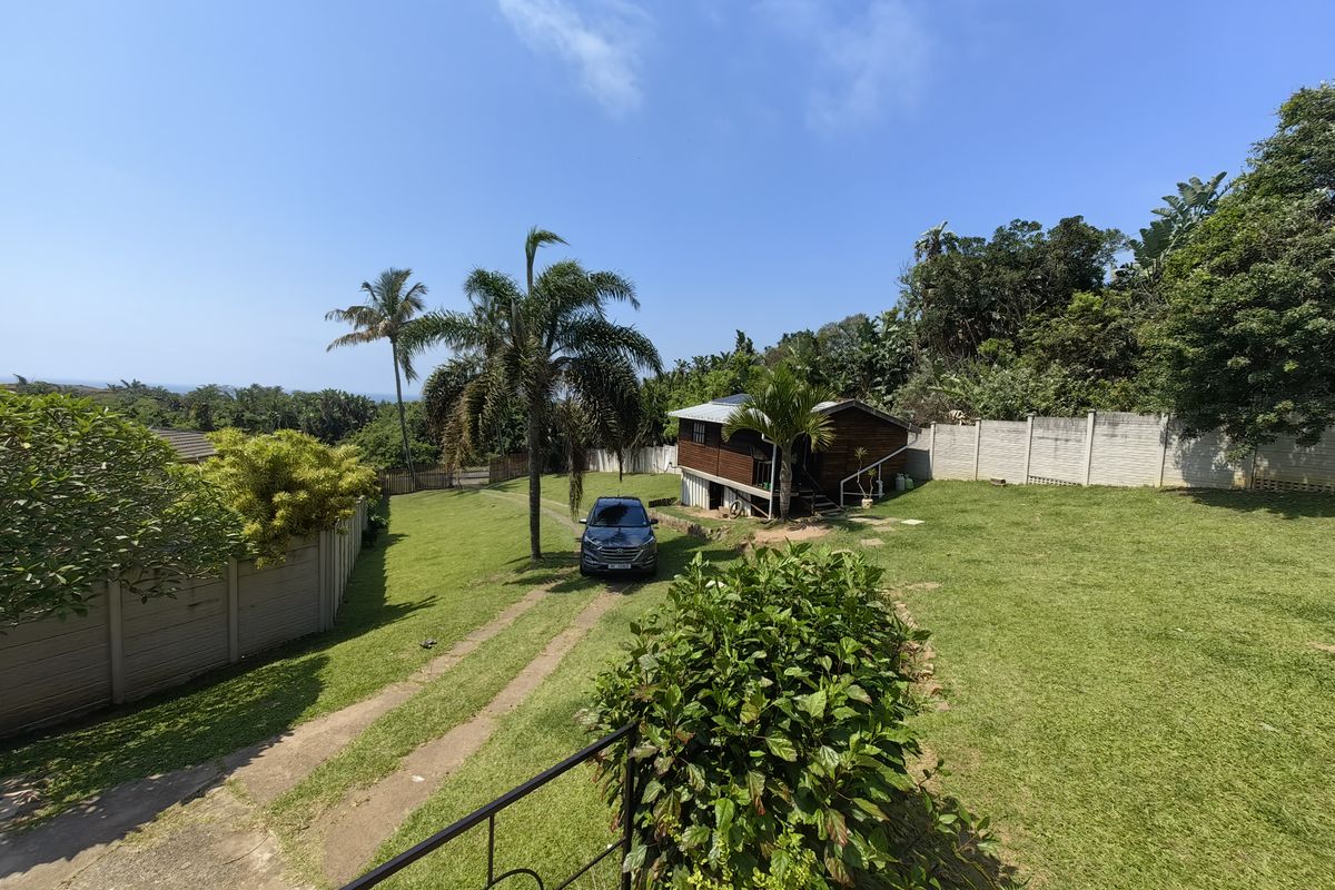 A spacious rear garden featuring a large lawn, mature palm trees, and a precast concrete boundary wall, with an elevated wooden structure in the background.
