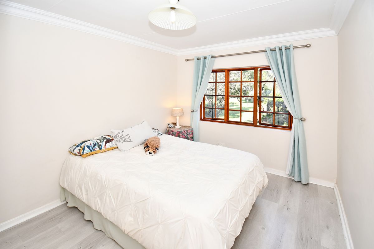A bright and well-maintained bedroom featuring timber-framed windows, modern laminate flooring, and classic ceiling cornicing.