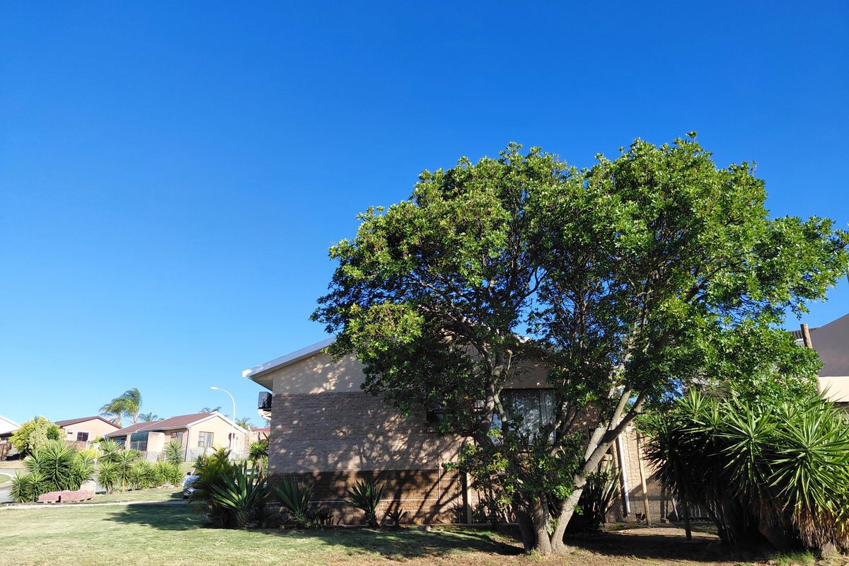 Strelitzia Park – Corner Plot Gem with Stunning Views - Photo 5