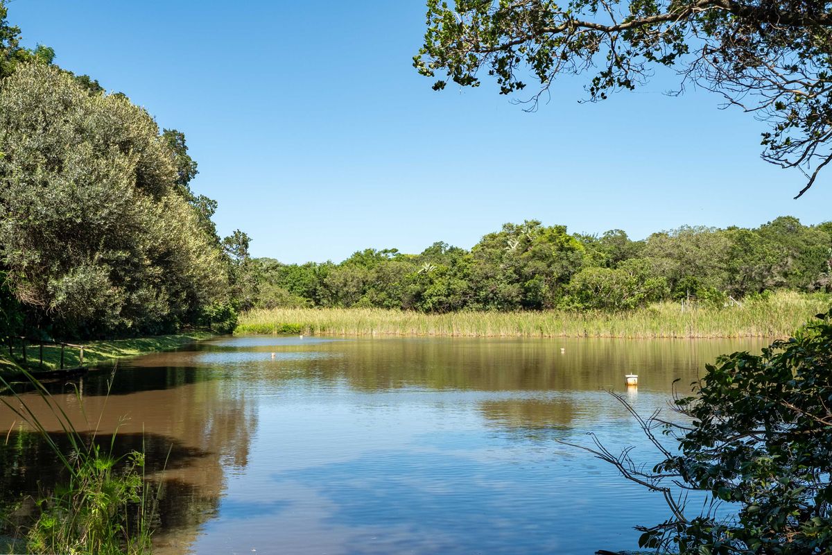 Vacant Land Residential For Sale In Pennington - Photo 4