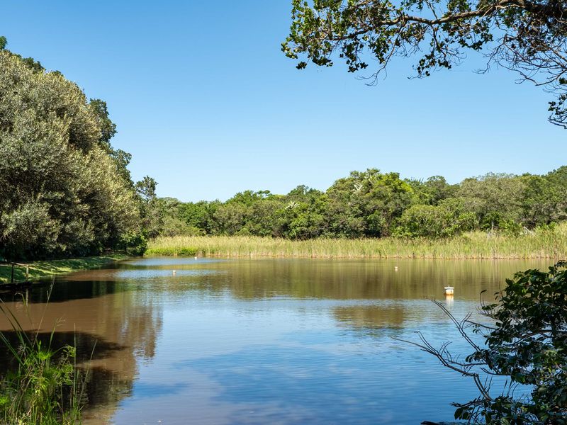 Vacant Land Residential For Sale In Pennington - Photo 4