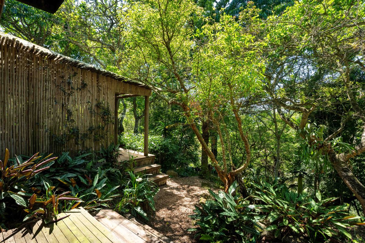 Tranquil Retreat with 2 income producing flatlets - Photo 5