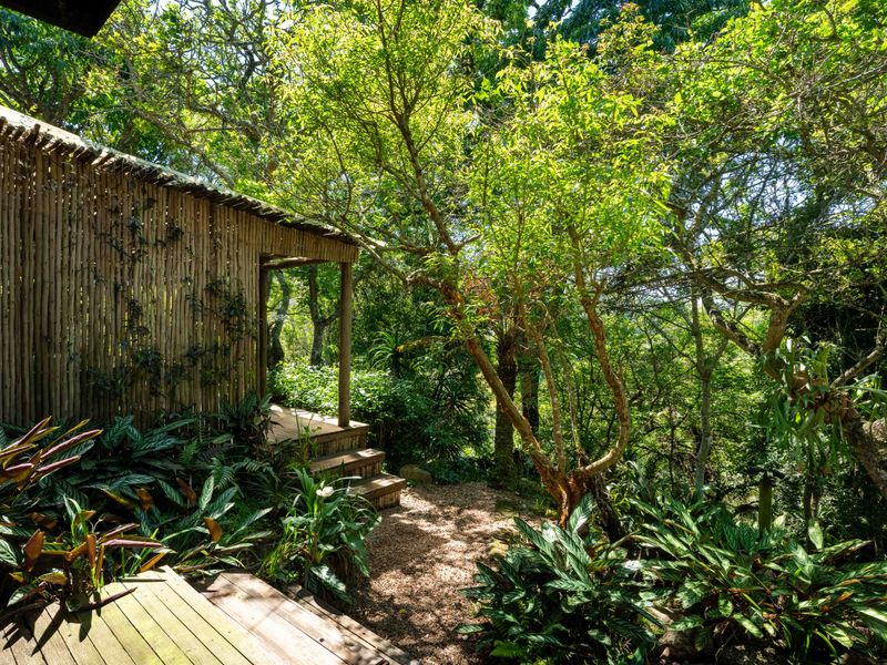 Tranquil Retreat with 2 income producing flatlets - Photo 5