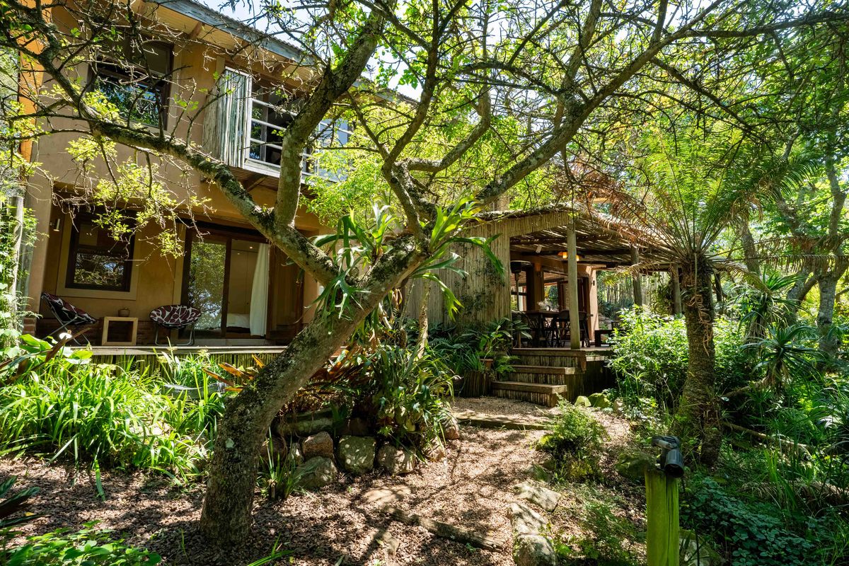 A lush rear garden view featuring a timber deck, a thatched patio area, and mature trees surrounding the home's exterior facade.