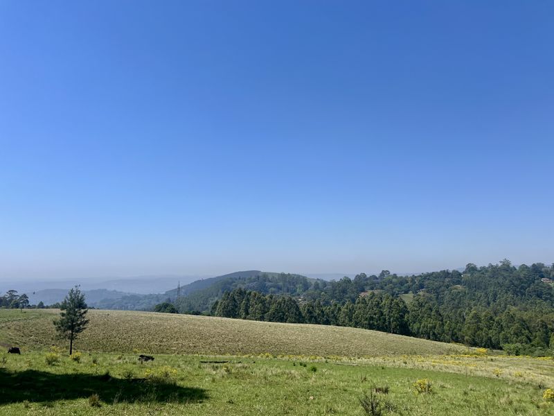 Expansive 9,551 m2 Vacant Land on Dalry Road, Winterskloof – Your Dream Plot Awaits! - Photo 8