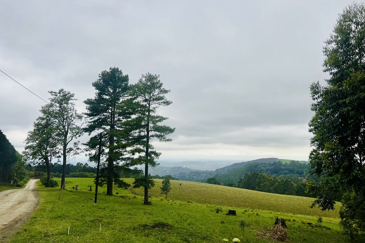 Expansive 9,551 m2 Vacant Land on Dalry Road, Winterskloof – Your Dream Plot Awaits! - Photo 2