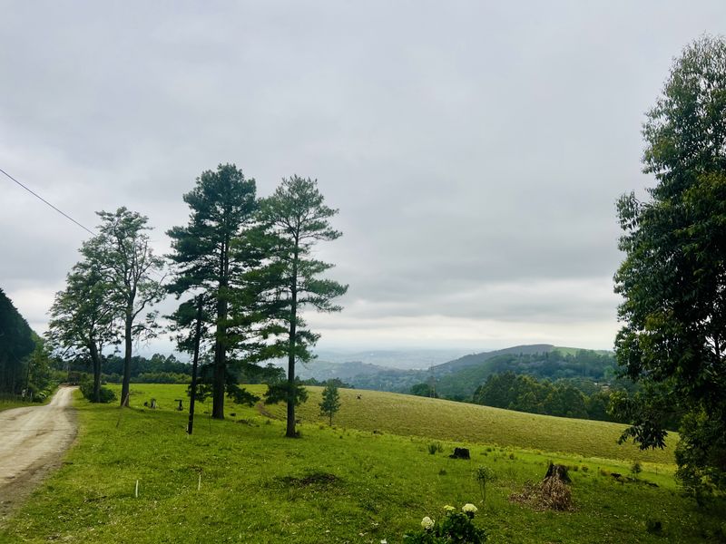 Expansive 9,551 m2 Vacant Land on Dalry Road, Winterskloof – Your Dream Plot Awaits! - Photo 2