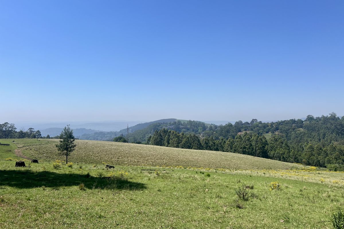 Expansive 9,551 m2 Vacant Land on Dalry Road, Winterskloof – Your Dream Plot Awaits! - Photo 5