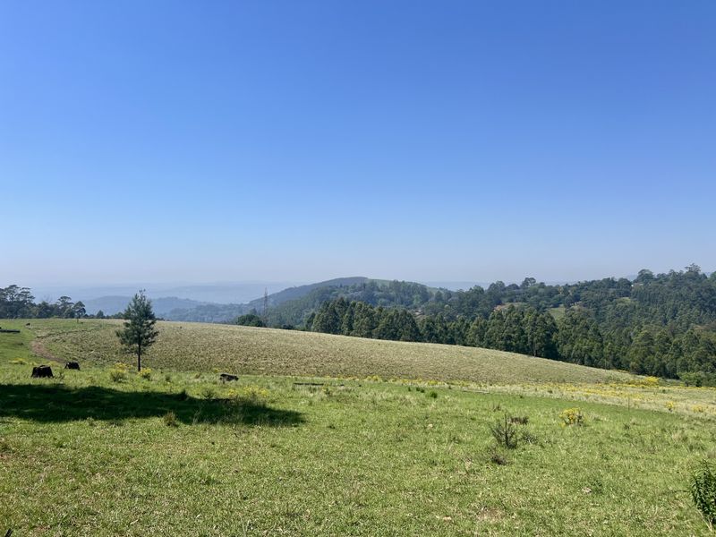 Expansive 9,551 m2 Vacant Land on Dalry Road, Winterskloof – Your Dream Plot Awaits! - Photo 5