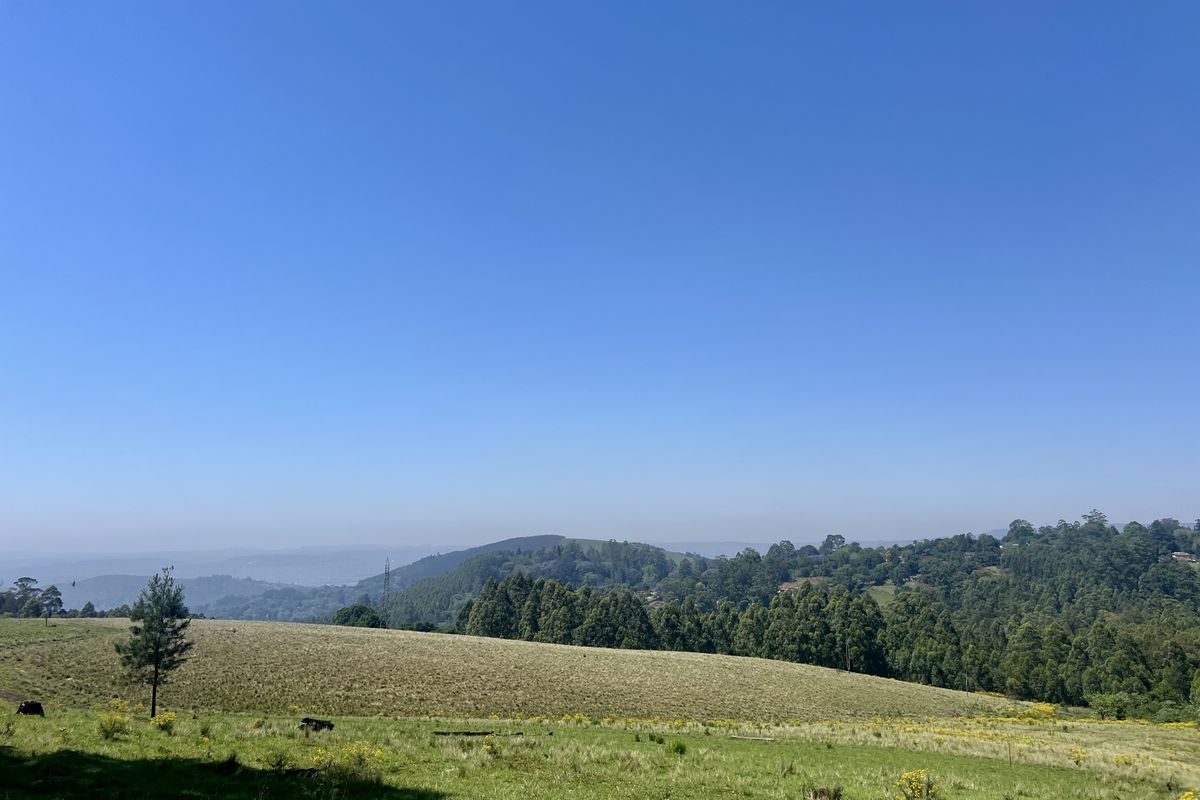 Spectacular 12,018 m2 Land on Dalry Road, Winterskloof – Breathtaking Views Await! - Photo 4