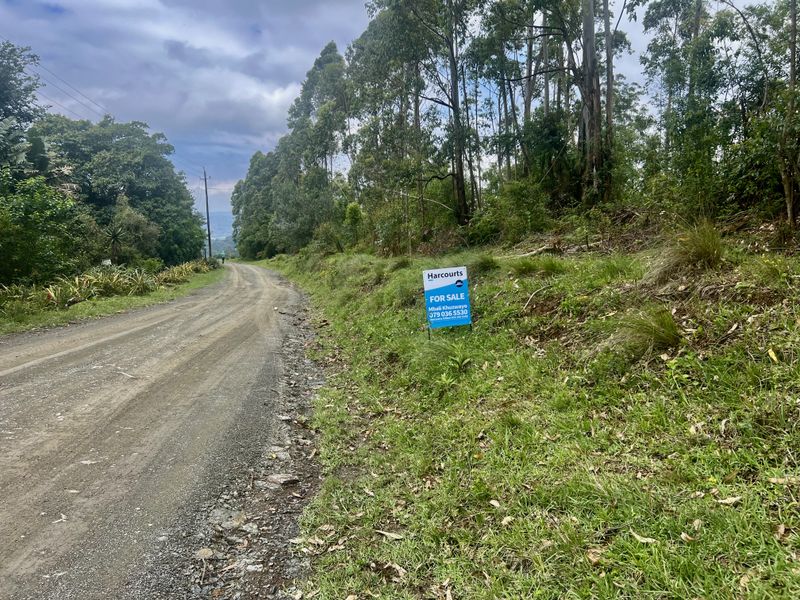 Spectacular 12,018 m2 Land on Dalry Road, Winterskloof – Breathtaking Views Await! - Photo 10