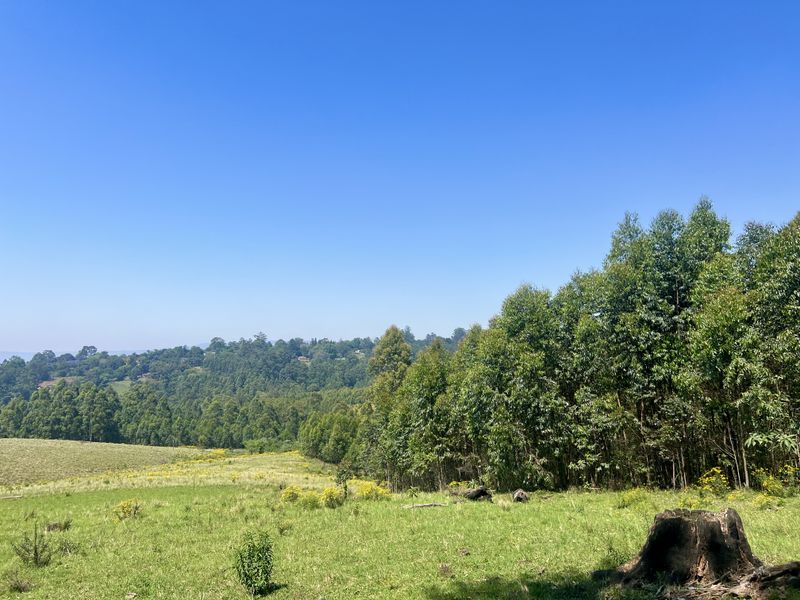 Spectacular 12,018 m2 Land on Dalry Road, Winterskloof – Breathtaking Views Await! - Photo 9