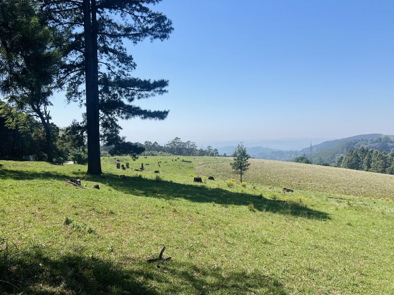 Spectacular 12,018 m2 Land on Dalry Road, Winterskloof – Breathtaking Views Await! - Photo 8