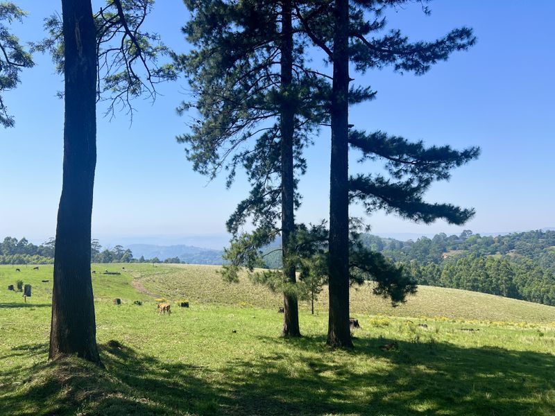 Spectacular 12,018 m2 Land on Dalry Road, Winterskloof – Breathtaking Views Await! - Photo 6