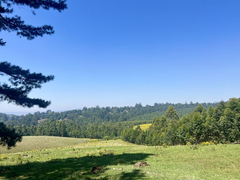 Spectacular 12,018 m2 Land on Dalry Road, Winterskloof – Breathtaking Views Await! - Photo 7