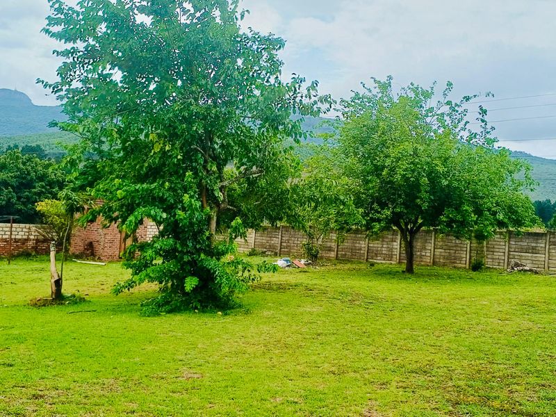 A spacious, grassed backyard featuring mature trees and enclosed by a combination of brick and concrete block boundary walls with mountain views.