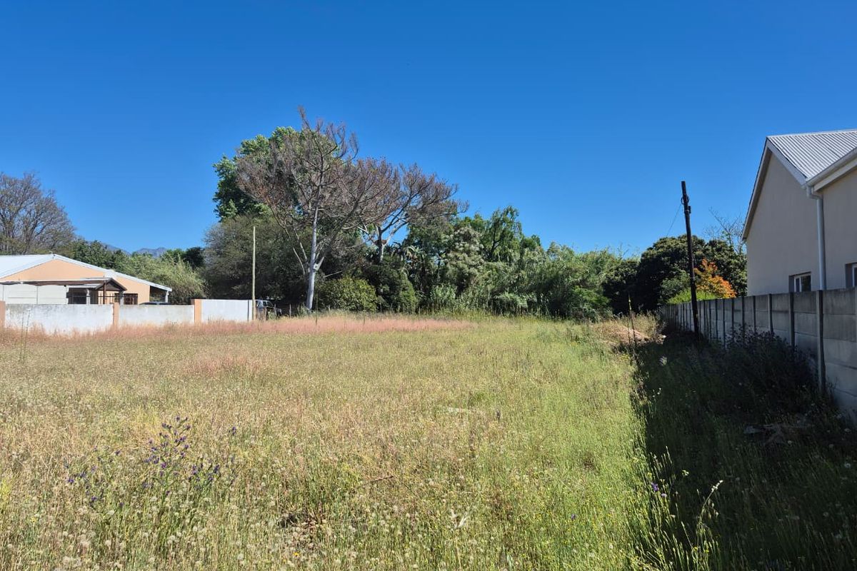 Build Your Dream in the Heart of the Winelands - Photo 4