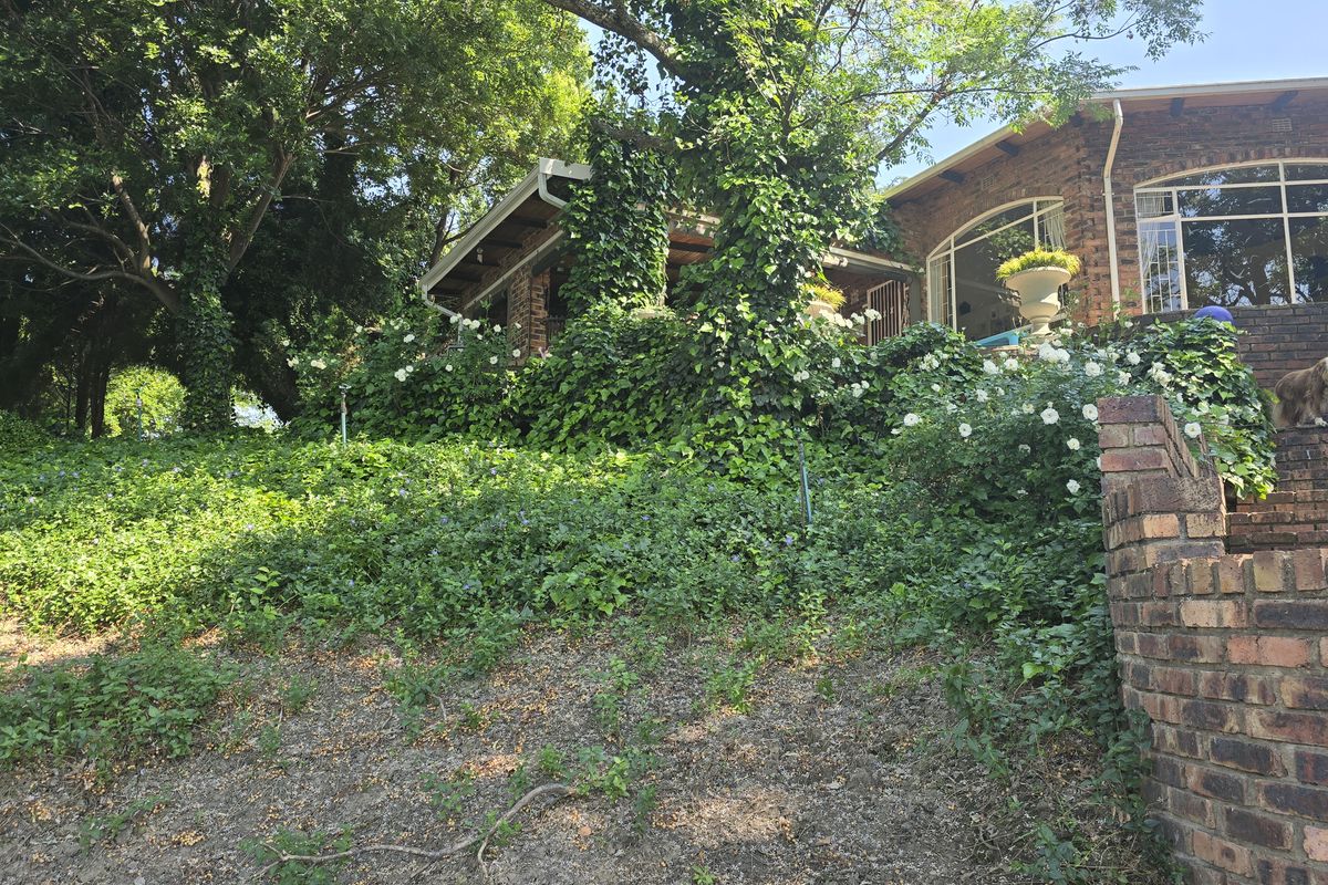 Riverfront Property - Photo 5